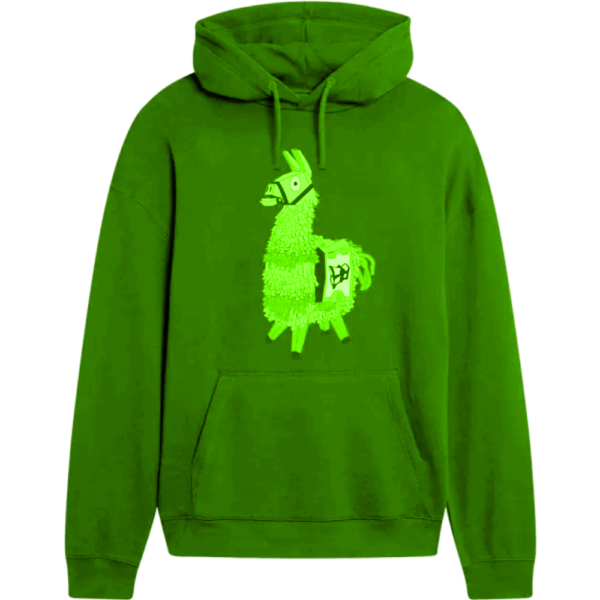 Winter Hoodies – Bild 2
