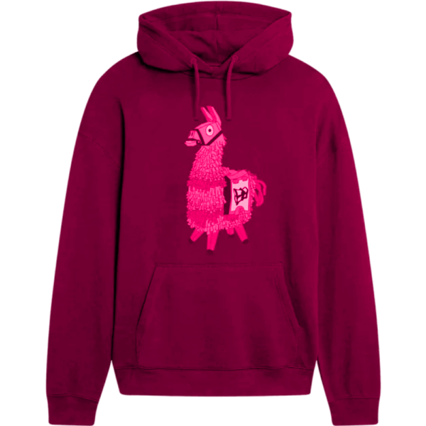 Winter Hoodies – Bild 3